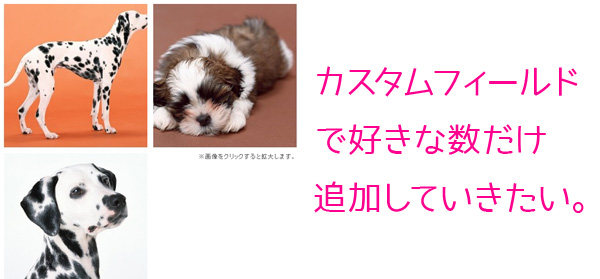 サーバー選びのイメージ